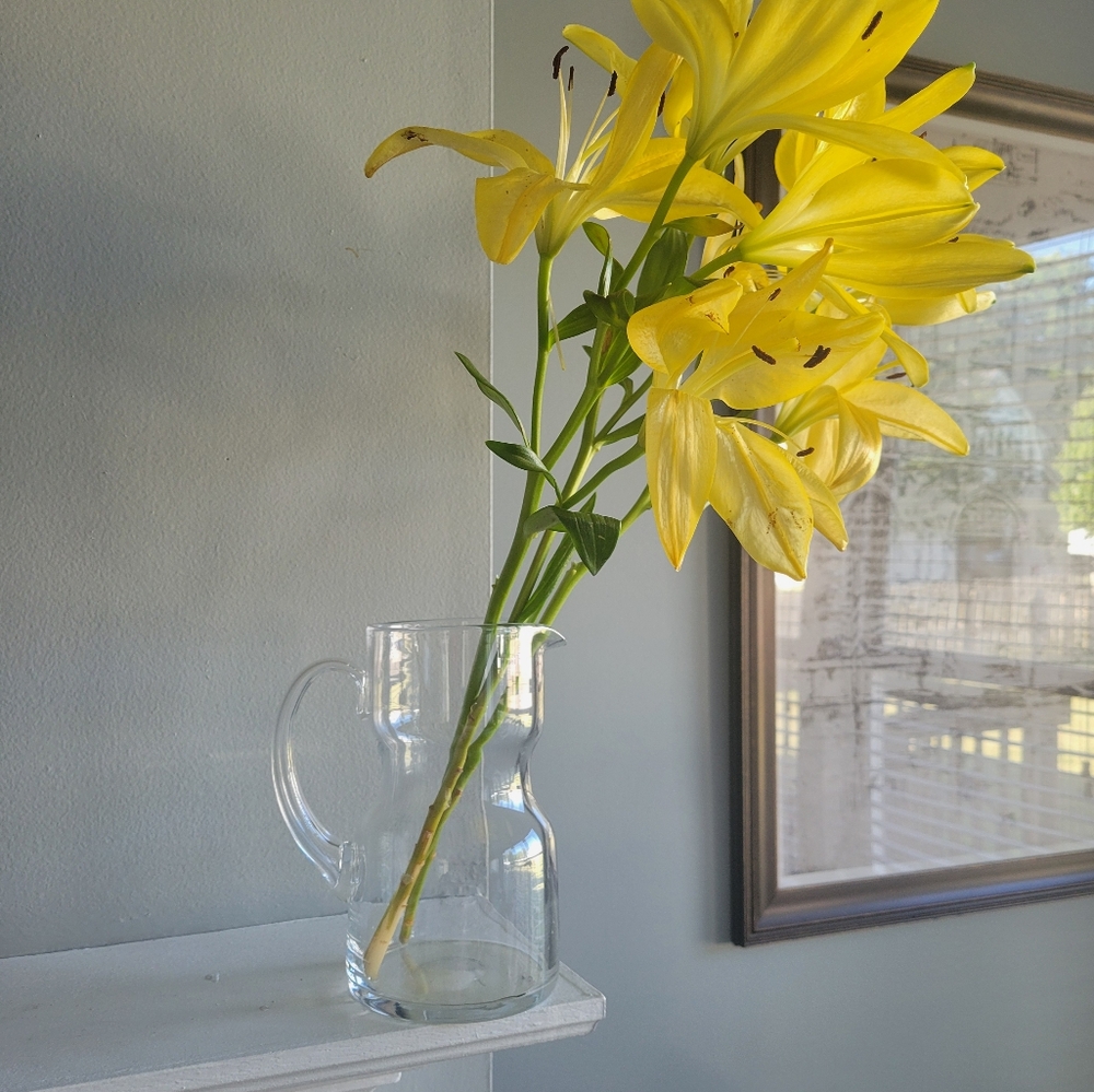 VINTAGE Elegant Clear Glass Watering Pot Vase - Picture 2 of 7